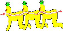 :pin-centipede.gif: